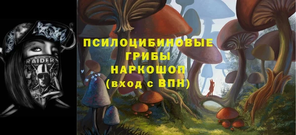 хмурый Балабаново